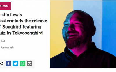 New Hiem remix – Songbird Slomo Robo